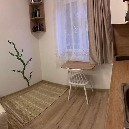 Mimosa Studio Apartman Kolozsvár Kültér fotó