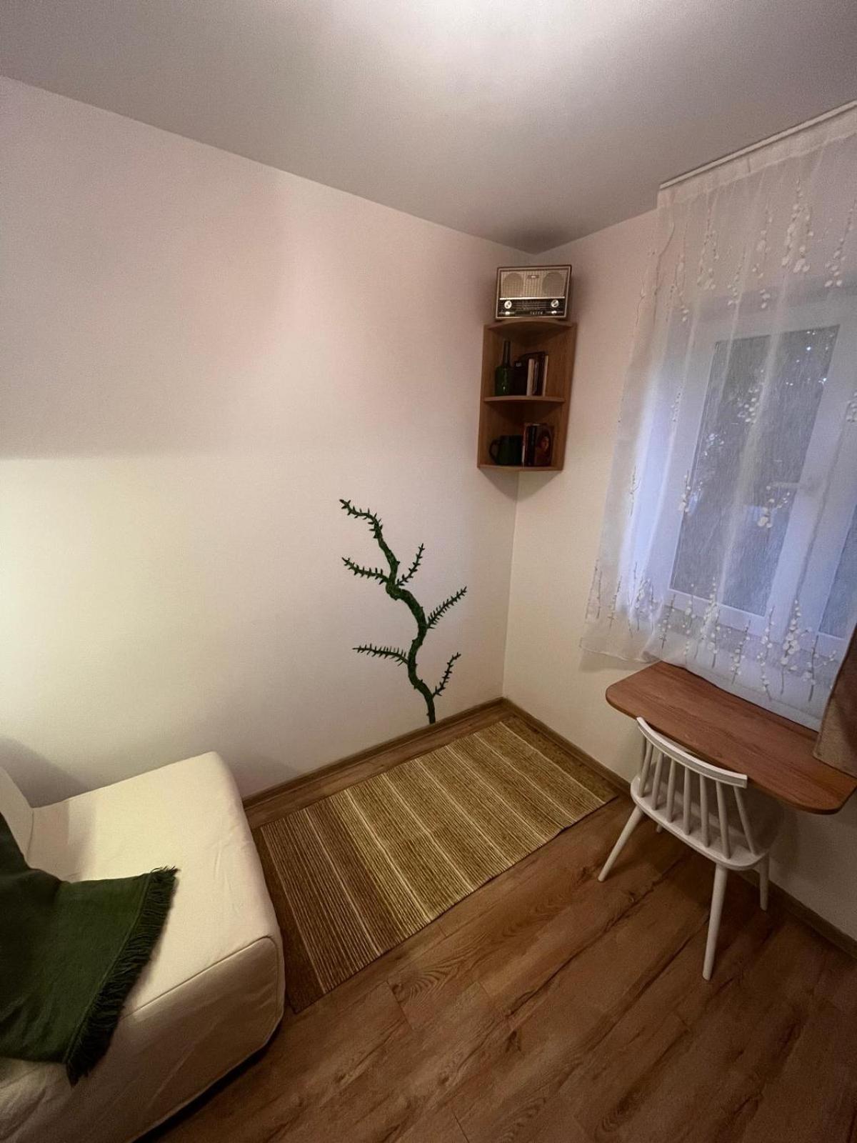 Mimosa Studio Apartman Kolozsvár Kültér fotó