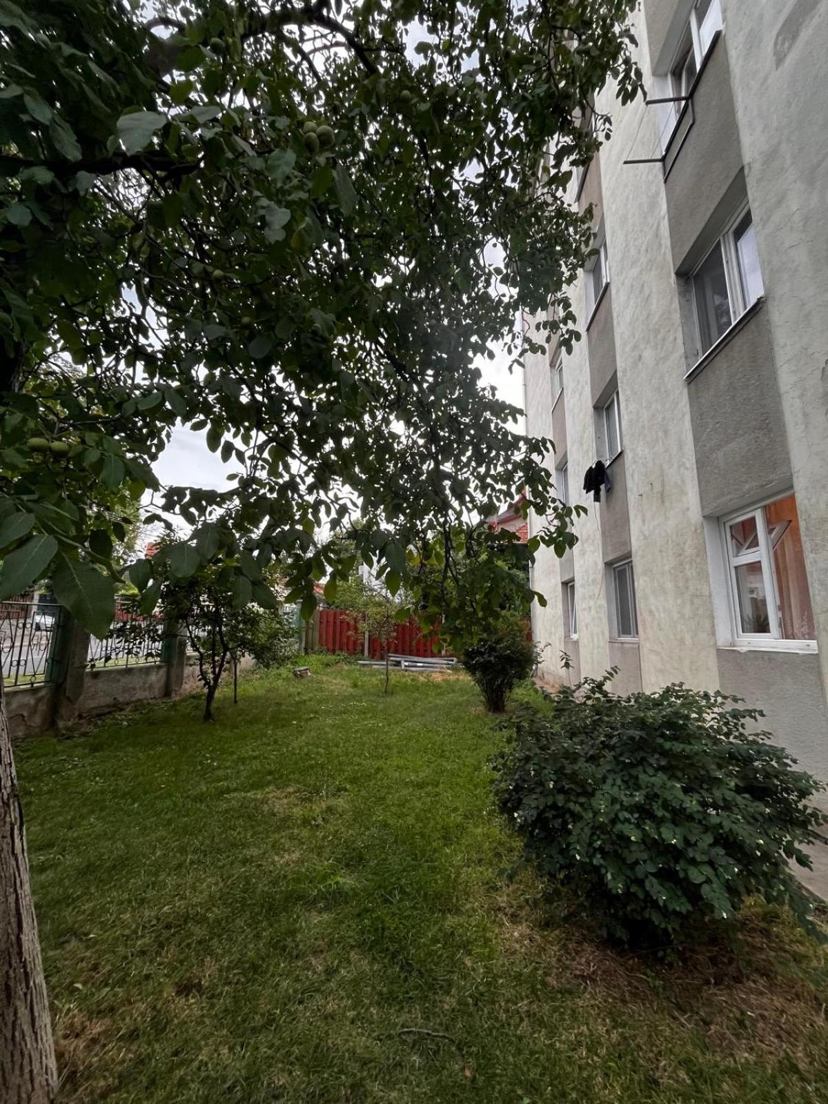 Mimosa Studio Apartman Kolozsvár Kültér fotó