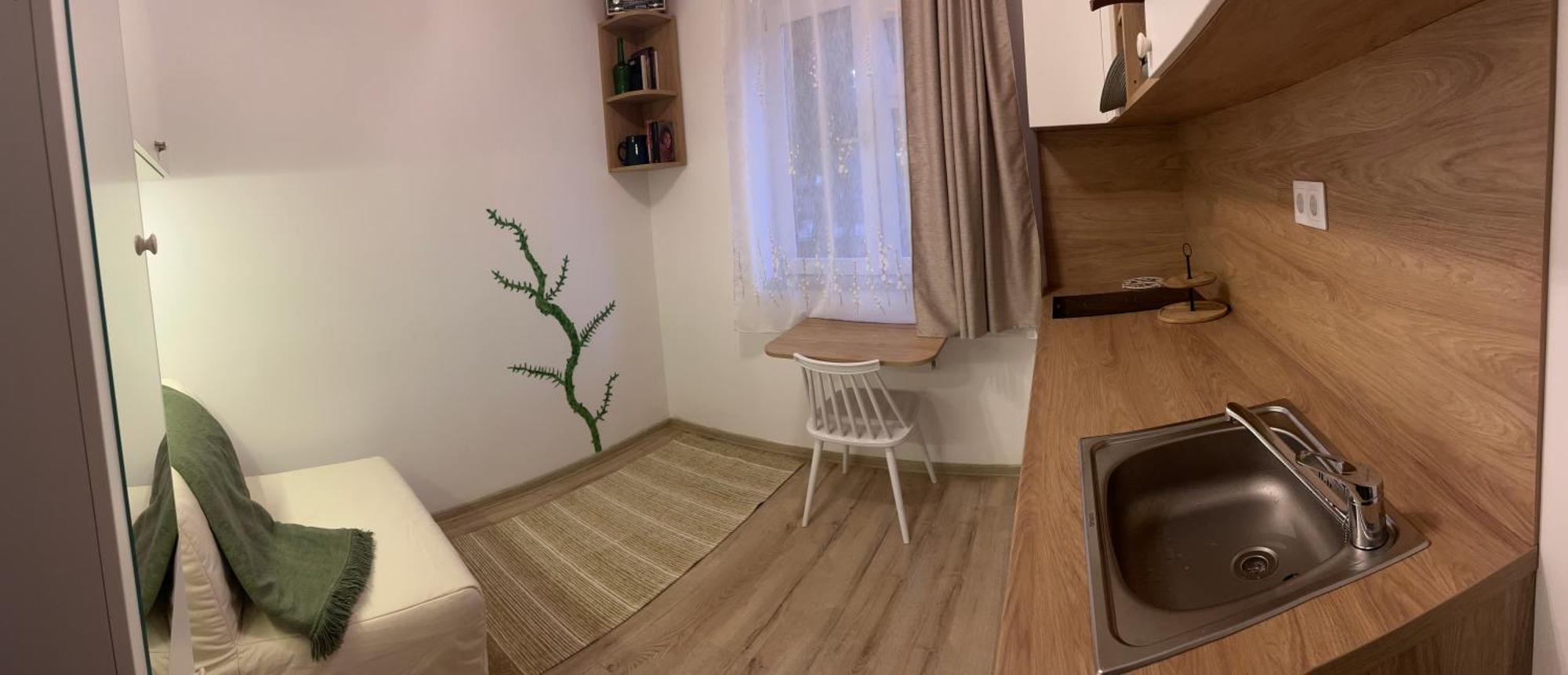 Mimosa Studio Apartman Kolozsvár Kültér fotó